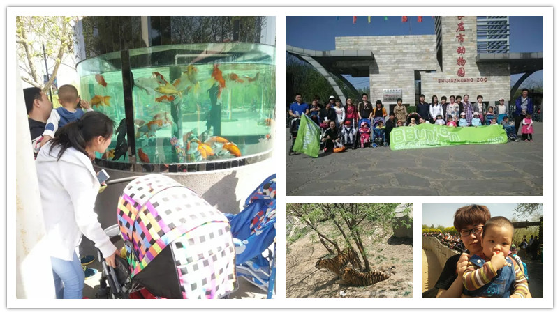 BBunion国际早教石家庄中心活动花絮：Hello，我的动物朋友们