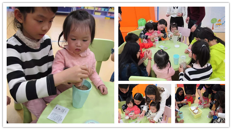 BBunion国际早教顺德中心活动花絮:播下种子,为地球添一抹色彩 BBunion国际早教顺德中心活动花絮:播下种子,为地球添一抹色彩